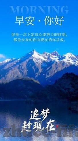 世界杯球员罚单-世界杯球员罚单，规则与公平的边界